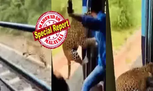 ഒന്ന് പവർ കൊടുത്ത് ഓടി തുടങ്ങിയ ട്രെയിൻ; അതിന് സമാന്തരമായി പേടിപ്പെടുത്തുന്ന കാഴ്ച; യാത്രക്കാരെ നോക്കി പാഞ്ഞെടുക്കുന്ന വേഗതയുടെ രാജാവ്; പെട്ടെന്ന് ഡോറിന് മുന്നിൽ നിന്ന ആളെ കടിച്ച് താഴെ ഇടുന്ന പുള്ളിപ്പുലി; ആ ഭീകര ദൃശ്യങ്ങൾക്ക് പിന്നിലെ സത്യാവസ്ഥയെന്ത്?