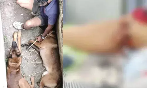 അപകടകാരികളായ നായ്ക്കളെ അലക്ഷ്യമായി തുറന്നുവിട്ടു;  സ്‌കൂളില്‍നിന്ന് മടങ്ങിയ പ്ലസ് ടു വിദ്യാര്‍ഥിനിക്ക് നായയുടെ കടിയേറ്റ് ഗുരുതര പരിക്ക്; രക്ഷിച്ചത്, പെണ്‍കുട്ടിയുടെ നിലവിളി കേട്ട് എത്തിയ നാട്ടുകാര്‍