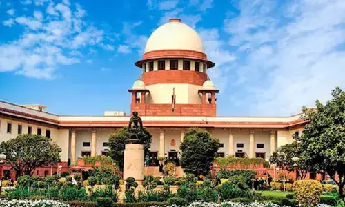 തെരുവുനായ്ക്കളെ ഇല്ലാതാക്കിയാൽ എലികളുടെ എണ്ണം വർധിക്കുമെന്ന് മൃഗസ്നേഹികൾ; കൂടുതൽ  പൂച്ചകളെ വളർത്തി പരിഹരിച്ചാൽ മതിയെന്ന് സുപ്രീം കോടതി