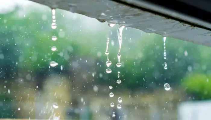 ബംഗാള് ഉള്ക്കടലിലെ അതിതീവ്ര ന്യൂനമര്ദം ഇന്ന് കരതൊടും; സംസ്ഥാനത്ത് നാളെ ഒറ്റപ്പെട്ട ശക്തമായ മഴയ്ക്ക് സാധ്യത: രണ്ട് ജില്ലകളില് യെല്ലോ അലര്ട്ട് ബംഗാള് ഉള്ക്കടലിലെ അതിതീവ്ര ന്യൂനമര്ദം ഇന്ന് കരതൊടും; സംസ്ഥാനത്ത് നാളെ ഒറ്റപ്പെട്ട ശക്തമായ മഴയ്ക്ക് സാധ്യത: രണ്ട് ജില്ലകളില് യെല്ലോ അലര്ട്ട്