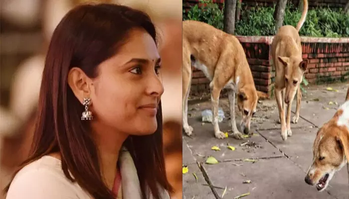 പുരുഷന്മാരും ഏത് മൂഡിലാണെന്ന് പറയാൻ പറ്റില്ല; അവർ എപ്പോഴാണ് ബലാത്സംഗം ചെയ്യുക എന്നറിയാൻ കഴില്ലല്ലോ..; കോടതിയുടെ തെരുവ് നായ പരാമർശത്തിൽ നടി രമ്യ പുരുഷന്മാരും ഏത് മൂഡിലാണെന്ന് പറയാൻ പറ്റില്ല; അവർ എപ്പോഴാണ് ബലാത്സംഗം ചെയ്യുക എന്നറിയാൻ കഴില്ലല്ലോ..; കോടതിയുടെ തെരുവ് നായ പരാമർശത്തിൽ നടി രമ്യ