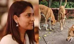 പുരുഷന്മാരും ഏത് മൂഡിലാണെന്ന് പറയാൻ പറ്റില്ല; അവർ എപ്പോഴാണ് ബലാത്സംഗം ചെയ്യുക എന്നറിയാൻ കഴില്ലല്ലോ..; കോടതിയുടെ തെരുവ് നായ പരാമർശത്തിൽ നടി രമ്യ