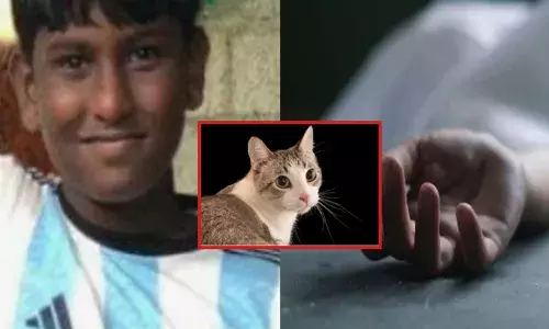 ഒരു പൂച്ച കുറുകെ എടുത്ത് ചാടിയതും ജീവനെടുത്ത് അപകടം; ഓടിക്കൊണ്ടിരുന്ന ഓട്ടോറിക്ഷയിൽ നിന്ന് പുറത്തേക്ക് തെറിച്ചുവീണ് ആറാം ക്ലാസുകാരന് ദാരുണാന്ത്യം; വേദനയോടെ ഉറ്റവർ