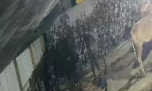 ഒന്നര ലക്ഷം വിലവരുന്ന പോത്തുകളെ കടത്തിക്കൊണ്ടുപോയി; ക്യാമറ ദൃശ്യങ്ങൾ പുറത്ത്; പൊലീസ് അന്വേഷണം ഊർജിതമാക്കി