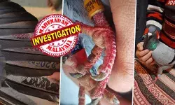 അതിർത്തികൾ താണ്ടി പറന്നെത്തിയ പ്രാവിനെ കണ്ട് സംശയം; ഇരച്ചെത്തിയ പോലീസിന്റെ വരവിൽ ഞെട്ടൽ; പക്ഷിയുടെ കാലിൽ രാജ്യത്തിന് തന്നെ ഭീഷണിയാകുന്നൊരു സന്ദേശം; പ്രദേശത്ത് അതീവ ജാഗ്രത; പാക്കികളുടെ അതിരുവിട്ട പ്രവർത്തിയിൽ നടുക്കം അതിർത്തികൾ താണ്ടി പറന്നെത്തിയ പ്രാവിനെ കണ്ട് സംശയം; ഇരച്ചെത്തിയ പോലീസിന്റെ വരവിൽ ഞെട്ടൽ; പക്ഷിയുടെ കാലിൽ രാജ്യത്തിന് തന്നെ ഭീഷണിയാകുന്നൊരു സന്ദേശം; പ്രദേശത്ത് അതീവ ജാഗ്രത; പാക്കികളുടെ അതിരുവിട്ട പ്രവർത്തിയിൽ നടുക്കം