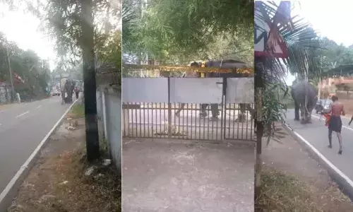 ക്ഷേത്രത്തിലെ എഴുന്നള്ളിപ്പിനിടയിലേക്ക് സ്വകാര്യ ബസ് ഓടിച്ചുകയറ്റി; ബസ് ഇടിച്ച ആന വിരണ്ടോടി