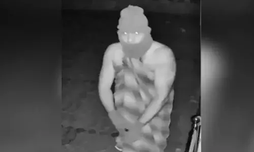 മുകള്‍ നിലയില്‍ ഉറങ്ങിക്കിടന്ന യുവതിയുടെ മാല കവര്‍ന്ന് കള്ളന്‍; മുകളിലേക്ക് കയറാന്‍ ഏണി എടുത്തത് അയല്‍വീട്ടില്‍ നിന്നും:  സിസിടിവിയില്‍ കുടുങ്ങിയ കള്ളനായി അന്വേഷണം