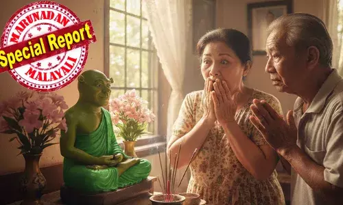 കടയിൽ നിന്നും ഒരു പ്രതിമ വാങ്ങി; അതിന്റെ ഉരുണ്ട രൂപവും ശാന്തമായ മുഖഭാവവും ബുദ്ധന്റേതെന്ന്  തോന്നിപ്പിച്ചു; പൂജാമുറിയിൽ പ്രതിഷ്ഠിച്ച പ്രതിമയിൽ ദിവസവും പ്രാർത്ഥന; യുവതി വർഷങ്ങളോളം ആരാധിച്ചത് പച്ച നിറത്തിലുള്ള കാർട്ടൂൺ കഥാപാത്രത്തെ