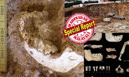 മനുഷ്യ രാശിയുടെ ഉത്ഭവം തേടിയിറങ്ങിയ ഫ്രഞ്ച് ഗവേഷകർക്ക് ഞെട്ടൽ; ഒരു ഗുഹയ്ക്കുള്ളിൽ അസാധാരണ വലിപ്പമുള്ള താടിയെല്ലും, പല്ലുകളും; ഇതോടെ വീണ്ടും ചർച്ചയായി ഹ്യൂമൻ എവുല്യൂഷൻ തിയറി; ഏഴ് ലക്ഷം വർഷം പഴക്കമുണ്ടെന്നും വിവരങ്ങൾ; അവശിഷ്ടങ്ങൾക്ക് അവരുമായി സാമ്യം; ആ തെളിവുകൾ വീണ്ടും അത്ഭുതപ്പെടുത്തുമ്പോൾ