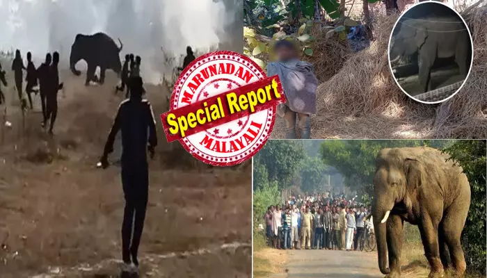 രാത്രിയായാൽ ചുറ്റും കേൾക്കുന്നത് ഭീതിപ്പെടുത്തുന്ന ചിഹ്നംവിളി; വീടുകൾ തകർത്തെറിഞ്ഞും ആളുകളെ ചവിട്ടിക്കൊന്നും കലിതുള്ളൽ; ജാർഖണ്ഡിൽ കൊലയാളി കൊമ്പന്റെ താണ്ഡവം; വെറും പതിമൂന്ന് ദിവസം കൊണ്ട് 22 പേരുടെ ജീവനെടുത്തു; വനംവകുപ്പിന് പിടികൊടുക്കാതെ പോര്; നാടിനെ വിറപ്പിച്ച് ഈ ഒറ്റയാൻ രാത്രിയായാൽ ചുറ്റും കേൾക്കുന്നത് ഭീതിപ്പെടുത്തുന്ന ചിഹ്നംവിളി; വീടുകൾ തകർത്തെറിഞ്ഞും ആളുകളെ ചവിട്ടിക്കൊന്നും കലിതുള്ളൽ; ജാർഖണ്ഡിൽ കൊലയാളി കൊമ്പന്റെ താണ്ഡവം; വെറും പതിമൂന്ന് ദിവസം കൊണ്ട് 22 പേരുടെ ജീവനെടുത്തു; വനംവകുപ്പിന് പിടികൊടുക്കാതെ പോര്; നാടിനെ വിറപ്പിച്ച് ഈ ഒറ്റയാൻ