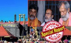 എടാ പോടോ എന്ന് വിളിച്ചാണ് പോലീസുകാര്‍ സംസാരിച്ചത്; അങ്ങനെ വിളിക്കരുതെന്ന് പറഞ്ഞപ്പോള്‍ നിന്നെയൊക്കെ എടാന്ന് വിളിച്ചാല്‍ എന്തുചെയ്യുമെന്ന് മറുപടി; പതിനെട്ടാം പടിക്ക് താഴെ ആമ്പലപ്പുഴ പേട്ട സംഘത്തിന്റെ പെരിയോനോട് പോലീസ് ആക്രോശിച്ചത് ഇങ്ങനെ; പടി കയറുമ്പോള്‍ അടിയും ചവിട്ടും; ഇനിയും ആ പോലീസുകാര്‍ക്കെതിരെ നടപടിയില്ല; വിഐപിമാര്‍ക്ക് സുഖദര്‍ശനവും; ശബരിമലയില്‍ പിണറായി മറുപടി പറയുമോ?