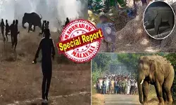 രാത്രിയായാൽ ചുറ്റും കേൾക്കുന്നത് ഭീതിപ്പെടുത്തുന്ന ചിഹ്നംവിളി; വീടുകൾ തകർത്തെറിഞ്ഞും ആളുകളെ ചവിട്ടിക്കൊന്നും കലിതുള്ളൽ; ജാർഖണ്ഡിൽ കൊലയാളി കൊമ്പന്റെ താണ്ഡവം; വെറും പതിമൂന്ന് ദിവസം കൊണ്ട് 22 പേരുടെ ജീവനെടുത്തു; വനംവകുപ്പിന് പിടികൊടുക്കാതെ പോര്; നാടിനെ വിറപ്പിച്ച് ഈ ഒറ്റയാൻ