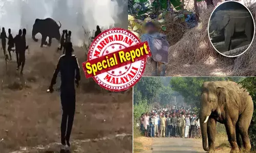 രാത്രിയായാൽ ചുറ്റും കേൾക്കുന്നത് ഭീതിപ്പെടുത്തുന്ന ചിഹ്നംവിളി; വീടുകൾ തകർത്തെറിഞ്ഞും ആളുകളെ ചവിട്ടിക്കൊന്നും കലിതുള്ളൽ; ജാർഖണ്ഡിൽ കൊലയാളി കൊമ്പന്റെ താണ്ഡവം; വെറും പതിമൂന്ന് ദിവസം കൊണ്ട് 22 പേരുടെ ജീവനെടുത്തു; വനംവകുപ്പിന് പിടികൊടുക്കാതെ പോര്; നാടിനെ വിറപ്പിച്ച് ഈ ഒറ്റയാൻ