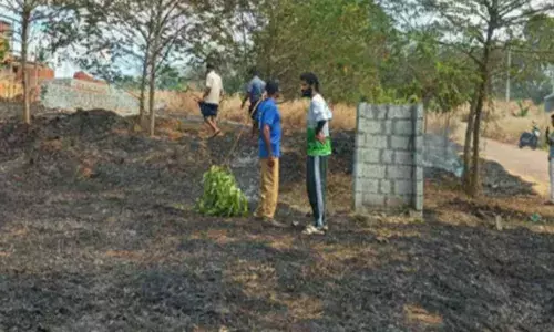 ശക്തമായ കാറ്റും ചൂടും ഭീഷണിയായി; ഒന്നര ഏക്കറോളം വരുന്ന റബര്‍ തോട്ടത്തിന് തീ പിടിച്ചു; വ്യാപക നാശനഷ്ടം; സംഭവം എടക്കരയില്‍