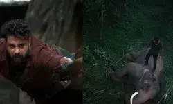 പാൻ ഇന്ത്യൻ ലെവലിൽ ഒരുങ്ങുന്ന മാസ്സ് ആക്ഷൻ വിരുന്ന്; വരാനിരിക്കുന്നത് ഇടിപൂരമോ?; കാട്ടാളൻ ടീസർ പുറത്ത്