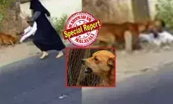 ബുർഖ ധരിച്ച പെൺകുട്ടിക്ക് നേരെ പാഞ്ഞെടുത്ത തെരുവുനായ; ഒന്നും നോക്കാതെ രക്ഷകനെ പോലെ ഓടിയെത്തിയ ആ ഒരാൾ; കലി കയറിയ നായ ചാടി വീണ് കടിച്ചുകീറി; പതിനഞ്ച് ഇടത്ത് ആഴത്തിൽ മുറിവ്; നടുക്കം മാറാതെ പ്രദേശം