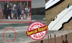 26 മണിക്കൂറിനിടെ രണ്ട് കുട്ടികളടക്കം മൂന്ന് പേർക്ക് സ്രാവ് ആക്രമണത്തിൽ പരിക്ക്; ഒരാളുടെ നില ഗുരുതരം; ജാഗ്രതാ നിർദ്ദേശത്തെ തുടർന്ന് ബീച്ചുകൾ താൽക്കാലികമായി അടച്ചുപൂട്ടി; സിഡ്‌നിയിലെ വടക്കൻ തീരത്തെ ബീച്ചുകളിൽ ഭീതി പരത്തി ബുൾ ഷാർക്കുകൾ