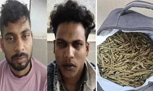 ബംഗാളില്‍ നിന്ന് കിലോയ്ക്ക് ആയിരം രൂപയ്ക്ക് കഞ്ചാവ് വാങ്ങി ഇരുപത്തയ്യായിരം രൂപയ്ക്ക് ഇവിടെ വില്‍ക്കും; 15 കിലോ കഞ്ചാവുമായി രണ്ട് ഇതര സംസ്ഥാന തൊഴിലാളികള്‍ മൂവാറ്റുപുഴയില്‍ പിടിയില്‍