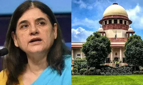 മൃഗസ്നേഹിയല്ലേ, തെരുവുനായ്ക്കളുടെ പ്രശ്നം പരിഹരിക്കാൻ എന്ത് ചെയ്തു; മേനകയുടേത് കോടതിയലക്ഷ്യം, കേസെടുക്കാത്തത് മാന്യത കൊണ്ട്; വിമർശനവുമായി കോടതി