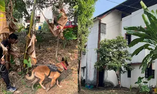 റബര്‍ ബോര്‍ഡ് ക്വാര്‍ട്ടേഴ്‌സില്‍ വന്‍ മോഷണം; നഷ്ടമായത് 75 പവന്‍ സ്വര്‍ണം; കവർച്ചയ്ക്ക് പിന്നിൽ ഉത്തരേന്ത്യൻ സംഘമെന്ന് സംശയം; പ്രാദേശിക സഹായം ലഭിച്ചിട്ടുണ്ടോയെന്നും അന്വേഷണം