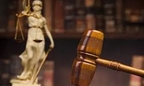 ഓണ്‍ലൈനായി വാങ്ങിയ ഭക്ഷണത്തില്‍ ഈച്ചയും പ്രാണിയും; യുവതിക്ക് 80,000 രൂപ നഷ്ടപരിഹാരം നല്‍കാന്‍ വിധി