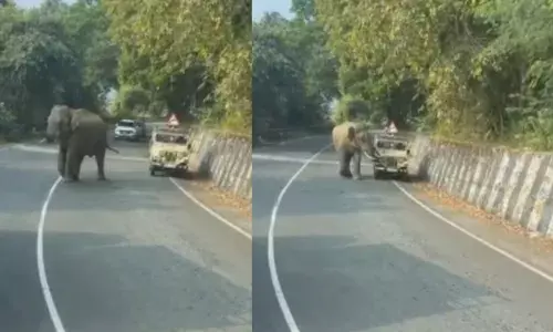 തുമ്പികൈ വീശി രണ്ടുംകല്പിച്ച് പാഞ്ഞെത്തി; ഒറ്റയാന്റെ വരവ് കണ്ട് ജീപ്പിലെ യാത്രക്കാർ അടക്കം ഇറങ്ങിയോടി; എല്ലാവരും രക്ഷപ്പെട്ടത് ഭാഗ്യം കൊണ്ട്; കൊമ്പന്റെ പരിഭ്രാന്തിയിൽ നടുക്കം