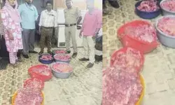 ഇറച്ചി കടയിൽ കയറിയ അധികൃതർ അറിയാതെ..മൂക്ക് പൊത്തി; ചുറ്റും കണ്ടത് പഴകിയ മാംസങ്ങൾ; കോഴിക്കോട്ടെ ചിക്കന്‍ സ്റ്റാളിന് എട്ടിന്റെ പണി