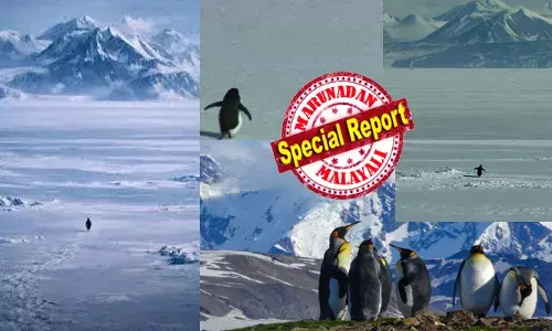 കടൽത്തീരം ലക്ഷ്യമാക്കി നടന്നുകൊണ്ടിരുന്ന പെൻഗ്വിൻ കൂട്ടങ്ങൾ; അതിൽ ഒരെണ്ണം മാത്രം കൂട്ടം തെറ്റി നേരെ പോകുന്നത് 70കിലോമീറ്റർ അകലെയുള്ള മഞ്ഞുമലയിലേക്ക്; അന്നേരം അവന്റെ കണ്ണുകളിൽ തെളിഞ്ഞതെന്ത്?; ഏകാന്തത തേടിയുള്ള യാത്രയിൽ കാത്തിരിക്കുന്നത് മരണമോ?; ഹെർസോഗിന്റെ ആ ചോദ്യം നിങ്ങളുടെ ഉറക്കം കെടുത്തും ഉറപ്പ് !!