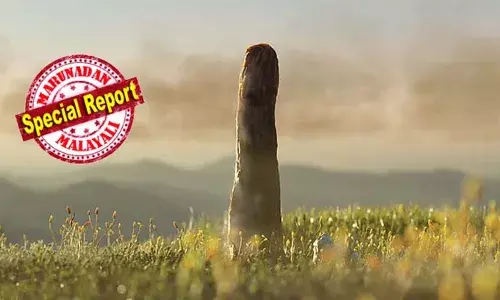 സസ്യവുമല്ല, ഫംഗസുമല്ല; 410 ദശലക്ഷം വര്‍ഷങ്ങള്‍ക്ക് മുമ്പ് ഭൂമിയെ വിറപ്പിച്ച ആ ഭീമന്‍ ആര്? 26 അടി ഉയരമുള്ള ആ നിഗൂഢ ജീവിയുടെ ചുരുളഴിയുന്നു; സ്‌കോട്ട്ലന്‍ഡിലെ ആ കണ്ടെത്തല്‍ ശാസ്ത്ര ലോകത്തെ ഞെട്ടിക്കുമ്പോള്‍