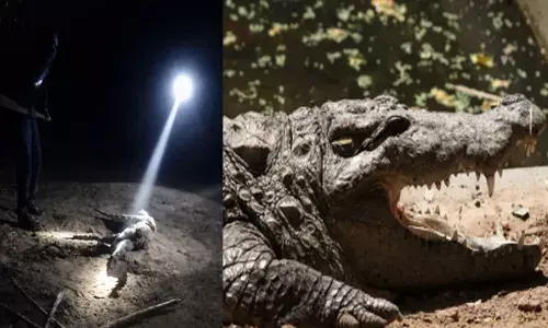 ബോറടി മാറ്റാൻ ഒന്ന് നടക്കാനിറങ്ങി; പെട്ടെന്ന് കൺമുന്നിൽ കണ്ടത് കൂറ്റൻ മുതലയെ; ചുറ്റും ആരുമില്ലെന്ന് ഉറപ്പുവരുത്തി യുവാക്കളുടെ അതിരുവിട്ട പ്രവർത്തി; കൈയ്യോടെ പൊക്കി പോലീസ്