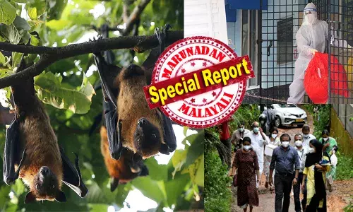 വവ്വാലുകൾ കടിച്ച പഴങ്ങളിലൂടെ ഈ വൈറസ് മനുഷ്യ ശരീരത്തിലേക്ക് പ്രവേശിച്ചാൽ മരണം ഉറപ്പ്; മൂത്ര സ്രവങ്ങളിലൂടെ അതിവേഗം പടരാനും സാധ്യത; കേരളത്തെ അടക്കം മുൾമുനയിൽ നിർത്തിയ ആ മഹാവ്യാധി വീണ്ടും ഭീതി പടർത്തുന്നു; ആഗോള മഹാമാരിക്ക് സാധ്യതയെന്ന് മുന്നറിയിപ്പ്; സൂക്ഷിച്ചില്ലെങ്കിൽ ദുഃഖിക്കും