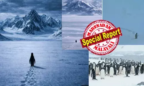 അന്റാർട്ടിക്കൻ തണുപ്പിൽ കൂട്ടം തെറ്റി പോയ കുഞ്ഞാടിനെ പോലെ കുണുങ്ങി നടന്ന പെൻഗ്വിൻ; കൂർത്ത കണ്ണ് മുഴുവൻ 70 കിലോമീറ്റർ അകലെയുള്ള മഞ്ഞുമലയിൽ; അന്നേരം കുഞ്ഞ് തലച്ചോർ കൊണ്ട് അവൻ ചിന്തിച്ചതെന്ത്?; ഏകാന്തത തേടിയുള്ള യാത്രയിൽ കാത്തിരിക്കുന്നത് മരണമോ?; സോഷ്യൽ മീഡിയയിൽ അടക്കം ട്രെൻഡായി ഹെർസോഗിന്റെ ആ ചോദ്യം; ബട്ട് വൈ?