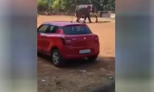 പൊറത്തിശ്ശേരിയില്‍ ഉത്സവത്തിനെത്തിച്ച ആന ഇടഞ്ഞു; പിങ്ക് പോലീസിന്റെ കാര്‍ കുത്തിമറിച്ചു