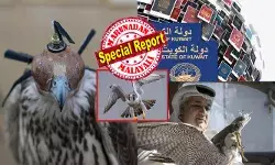 ആകാശ അതിർത്തികൾ താണ്ടുന്ന ഫാൽക്കൺ പരുന്തുകൾക്കും ഇനി മുതൽ പാസ്‌പോർട്ട് വേണം; കഴിഞ്ഞ അഞ്ചു മാസത്തിനിടെ കുവൈറ്റിൽ നടക്കുന്നത് അസാധാരണ സംഭവങ്ങൾ; മരുഭൂമിയിലെ ആ കാവൽക്കാരന്റെ ചിറകറ്റോ?; ഉറ്റുനോക്കി ലോകരാജ്യങ്ങൾ