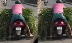 സ്‌കൂട്ടറിന്റെ മുന്നിൽ ഹാൻഡിൽ കാണാൻ പറ്റാത്ത രീതിയിൽ പുല്ല് കൊണ്ട് നിറച്ച് യാത്ര; അതിസാഹസികമായി മുണ്ട് മടക്കി കുത്തി സീറ്റിലിരുന്ന് പോകുന്ന ഒരാൾ; ദൃശ്യങ്ങൾ കണ്ട എംവിഡി ചെയ്തത്