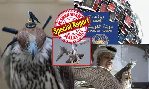 ആകാശ അതിർത്തികൾ താണ്ടുന്ന ഫാൽക്കൺ പരുന്തുകൾക്കും ഇനി മുതൽ പാസ്‌പോർട്ട് വേണം; കഴിഞ്ഞ അഞ്ചു മാസത്തിനിടെ കുവൈറ്റിൽ നടക്കുന്നത് അസാധാരണ സംഭവങ്ങൾ; മരുഭൂമിയിലെ ആ കാവൽക്കാരന്റെ ചിറകറ്റോ?; ഉറ്റുനോക്കി ലോകരാജ്യങ്ങൾ