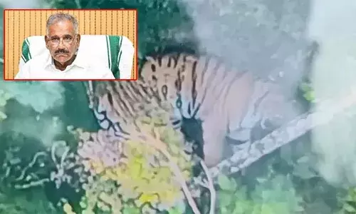 വന്യമൃഗശല്യം: കോതമംഗലത്തെ പ്രത്യേക സോണായി കണ്ട് തുടര്‍നടപടി; സോളാര്‍ തൂക്കുവേലിക്ക് ഭീഷണിയായി നില്‍ക്കുന്ന മരങ്ങള്‍ മുറിച്ചുമാറ്റുമെന്ന് വനം മന്ത്രി