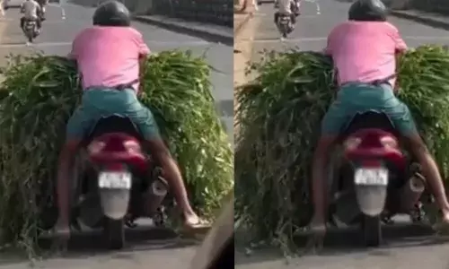 സ്‌കൂട്ടറിന്റെ മുന്നിൽ ഹാൻഡിൽ കാണാൻ പറ്റാത്ത രീതിയിൽ പുല്ല് കൊണ്ട് നിറച്ച് യാത്ര; അതിസാഹസികമായി മുണ്ട് മടക്കി കുത്തി സീറ്റിലിരുന്ന് പോകുന്ന ഒരാൾ; ദൃശ്യങ്ങൾ കണ്ട എംവിഡി ചെയ്തത്