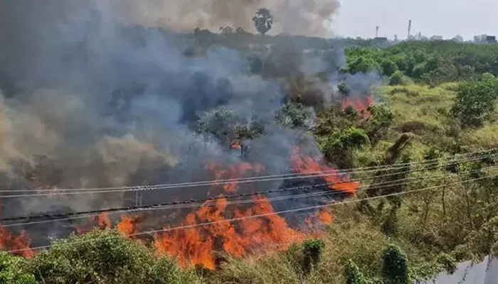 കഴക്കൂട്ടം മേനംകുളത്ത് വന് തീപിടിത്തം; തീ പടര്ന്നത് ഭാരത് ഗ്യാസിന്റെ റീഫില്ലിംഗ് പ്ലാന്റിന് സമീപം; കാറ്റുള്ളതിനാല് അപകടസാധ്യത; പ്രദേശത്തെ സ്കൂളുകളിലേതടക്കം വിദ്യാര്ത്ഥികളെ ഒഴിപ്പിച്ചു; കനത്ത ജാഗ്രത കഴക്കൂട്ടം മേനംകുളത്ത് വന് തീപിടിത്തം; തീ പടര്ന്നത് ഭാരത് ഗ്യാസിന്റെ റീഫില്ലിംഗ് പ്ലാന്റിന് സമീപം; കാറ്റുള്ളതിനാല് അപകടസാധ്യത; പ്രദേശത്തെ സ്കൂളുകളിലേതടക്കം വിദ്യാര്ത്ഥികളെ ഒഴിപ്പിച്ചു; കനത്ത ജാഗ്രത