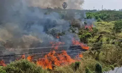 കഴക്കൂട്ടം മേനംകുളത്ത് വന്‍ തീപിടിത്തം; തീ പടര്‍ന്നത് ഭാരത് ഗ്യാസിന്റെ റീഫില്ലിംഗ് പ്ലാന്റിന് സമീപം; കാറ്റുള്ളതിനാല്‍ അപകടസാധ്യത;  പ്രദേശത്തെ സ്‌കൂളുകളിലേതടക്കം വിദ്യാര്‍ത്ഥികളെ ഒഴിപ്പിച്ചു;  കനത്ത ജാഗ്രത