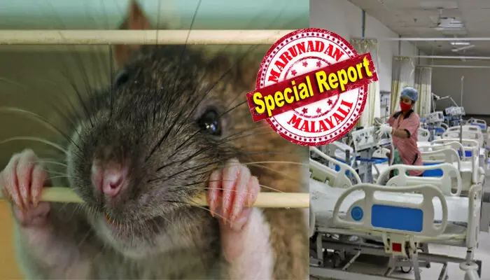 ഉറങ്ങിക്കിടന്ന രോഗിയുടെ കാൽവിരലുകൾ കടിച്ചുപറിക്കുന്ന എലികൾ; ദയനീയ കാഴ്ച കണ്ട് പലരും വാപൊത്തി; രക്തം വാർന്നൊലിച്ചിട്ടും അയാൾ ഒന്നും അറിയുന്നില്ല; അന്ന് മനസ്സിലാക്കി ആ രോഗത്തിന്റെ തീവ്രത; ഗിഫ്റ്റ് ഓഫ് പെയിൻ പുസ്തകത്തിൽ പറയുന്നത് ഉറങ്ങിക്കിടന്ന രോഗിയുടെ കാൽവിരലുകൾ കടിച്ചുപറിക്കുന്ന എലികൾ; ദയനീയ കാഴ്ച കണ്ട് പലരും വാപൊത്തി; രക്തം വാർന്നൊലിച്ചിട്ടും അയാൾ ഒന്നും അറിയുന്നില്ല; അന്ന് മനസ്സിലാക്കി ആ രോഗത്തിന്റെ തീവ്രത; ഗിഫ്റ്റ് ഓഫ് പെയിൻ പുസ്തകത്തിൽ പറയുന്നത്