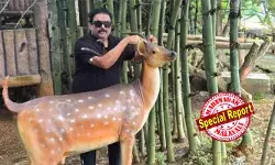 ബാംഗളൂരില് സെന്റിന് 6000 രൂപ മുടക്കി വാങ്ങിയ ഭൂമിയുടെ വില ഉയര്ന്നത് ആറ് ലക്ഷമായി; തിരുവനന്തപുരത്ത് 35000 ത്തിന് വാങ്ങിയത് പത്ത് ലക്ഷമായി; റിയല് എസ്റ്റേറ്റ് രംഗത്ത് നിക്ഷേപിക്കേണ്ടത് എങ്ങനെയെന്ന് മലയാളികളെ പഠിപ്പിച്ചു: സ്വയം വെടിവച്ച് മരിക്കാന് പ്രകോപനമായത് എന്തെന്ന് ഇപ്പോള് അവ്യക്തം ബാംഗളൂരില് സെന്റിന് 6000 രൂപ മുടക്കി വാങ്ങിയ ഭൂമിയുടെ വില ഉയര്ന്നത് ആറ് ലക്ഷമായി; തിരുവനന്തപുരത്ത് 35000 ത്തിന് വാങ്ങിയത് പത്ത് ലക്ഷമായി; റിയല് എസ്റ്റേറ്റ് രംഗത്ത് നിക്ഷേപിക്കേണ്ടത് എങ്ങനെയെന്ന് മലയാളികളെ പഠിപ്പിച്ചു: സ്വയം വെടിവച്ച് മരിക്കാന് പ്രകോപനമായത് എന്തെന്ന് ഇപ്പോള് അവ്യക്തം