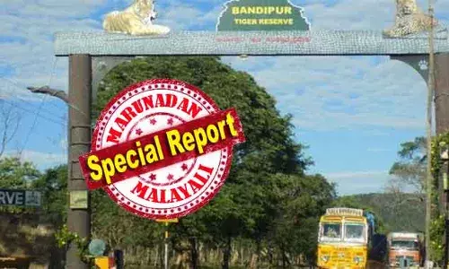 ബന്ദിപ്പൂര്‍ കടുവ സങ്കേതത്തിലൂടെയുള്ള പാതയില്‍ നിലവിലുള്ള രാത്രി 9 മുതല്‍ രാവിലെ 6 വരെയുള്ള യാത്രാ നിരോധനം മറികടക്കാന്‍ തുരങ്ക പാത; സാധ്യതാ പഠനം ഉടന്‍ തുടങ്ങും; സമയബന്ധിതമായി പൂര്‍ത്തിയാക്കും; വയനാടിന് ആശ്വാസമാകാന്‍ രണ്ടാം തുരങ്ക പാതയും പരിഗണനയില്‍; സംയുക്ത വര്‍ക്കിംഗ് ഗ്രൂപ്പ് ഉടന്‍ പണി തുടങ്ങും