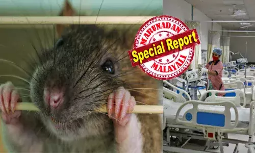 ഉറങ്ങിക്കിടന്ന രോഗിയുടെ കാൽവിരലുകൾ കടിച്ചുപറിക്കുന്ന എലികൾ; ദയനീയ കാഴ്ച കണ്ട് പലരും വാപൊത്തി; രക്തം വാർന്നൊലിച്ചിട്ടും അയാൾ ഒന്നും അറിയുന്നില്ല; അന്ന് മനസ്സിലാക്കി ആ രോഗത്തിന്റെ തീവ്രത; ഗിഫ്റ്റ് ഓഫ് പെയിൻ പുസ്തകത്തിൽ പറയുന്നത്