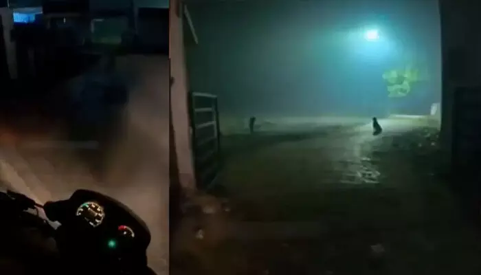 മുന്നിലൊരു ഗേറ്റ് കാണാം, അതിനുള്ളിൽ ഒരു പട്ടി ഇരിപ്പുണ്ട്; അടയാളങ്ങൾക്ക് ഓക്കെ പറഞ്ഞ് ഡെലിവറി ഏജന്റ്; പാതിരാത്രി സെമിത്തേരിയിൽ നിന്ന് ബിരിയാണിക്ക് ഓർഡർ; വൈറലായി വീഡിയോ മുന്നിലൊരു ഗേറ്റ് കാണാം, അതിനുള്ളിൽ ഒരു പട്ടി ഇരിപ്പുണ്ട്; അടയാളങ്ങൾക്ക് ഓക്കെ പറഞ്ഞ് ഡെലിവറി ഏജന്റ്; പാതിരാത്രി സെമിത്തേരിയിൽ നിന്ന് ബിരിയാണിക്ക് ഓർഡർ; വൈറലായി വീഡിയോ