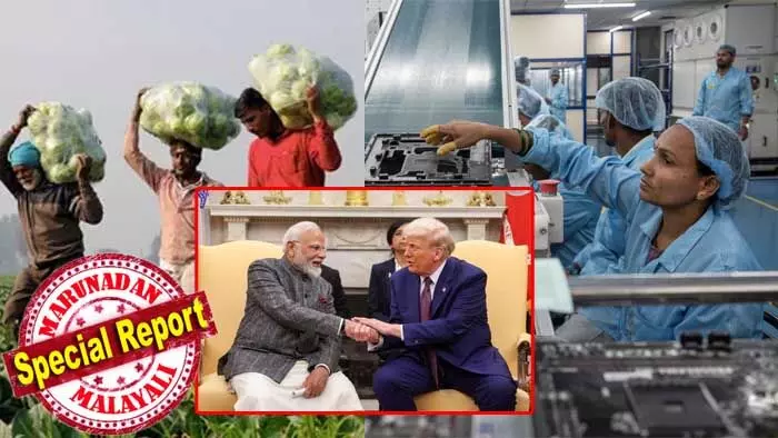 അമേരിക്കയുമായുള്ള വ്യാപാര കരാറോടെ ഇന്ത്യയുടെ ഇലക്ട്രോണിക്സ് മേഖലയ്ക്ക് പുതുജീവന്; ഇന്ത്യയില് നിന്നുള്ള ഇലക്ട്രോണിക്സ് കയറ്റുമതിയില് മാത്രം 10,000 കോടി ഡോളറിന്റെ വര്ധനവുണ്ടാകുമെന്ന് പ്രതീക്ഷ; കൂടുതല് തൊഴിലവസരങ്ങളും സൃഷ്ടിക്കപ്പെടും; കര്ഷകരെ സംരക്ഷിക്കും; കൃഷി, പാല് ഉല്പ്പന്നങ്ങള്ക്ക് സംരക്ഷണം തുടരുമെന്ന് കേന്ദ്രസര്ക്കാര് വൃത്തങ്ങള് അമേരിക്കയുമായുള്ള വ്യാപാര കരാറോടെ ഇന്ത്യയുടെ ഇലക്ട്രോണിക്സ് മേഖലയ്ക്ക് പുതുജീവന്; ഇന്ത്യയില് നിന്നുള്ള ഇലക്ട്രോണിക്സ് കയറ്റുമതിയില് മാത്രം 10,000 കോടി ഡോളറിന്റെ വര്ധനവുണ്ടാകുമെന്ന് പ്രതീക്ഷ; കൂടുതല് തൊഴിലവസരങ്ങളും സൃഷ്ടിക്കപ്പെടും; കര്ഷകരെ സംരക്ഷിക്കും; കൃഷി, പാല് ഉല്പ്പന്നങ്ങള്ക്ക് സംരക്ഷണം തുടരുമെന്ന് കേന്ദ്രസര്ക്കാര് വൃത്തങ്ങള്