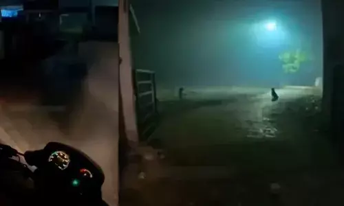 മുന്നിലൊരു ഗേറ്റ് കാണാം, അതിനുള്ളിൽ ഒരു പട്ടി ഇരിപ്പുണ്ട്; അടയാളങ്ങൾക്ക് ഓക്കെ പറഞ്ഞ് ഡെലിവറി ഏജന്‍റ്; പാതിരാത്രി സെമിത്തേരിയിൽ നിന്ന് ബിരിയാണിക്ക് ഓർഡർ; വൈറലായി വീഡിയോ