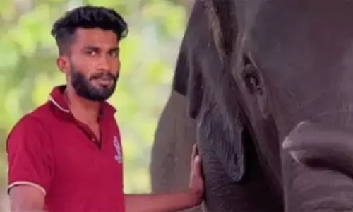 ആനയെ കുളിപ്പിക്കുന്നതിനിടെ തുമ്പിക്കൈ കൊണ്ട് അടിയേറ്റു; കോട്ടൂര്‍ കാപ്പുകാട് ആന പുനരധിവാസ കേന്ദ്രത്തില്‍ പാപ്പാന്‍ കൊല്ലപ്പെട്ടു