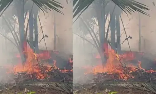 പയർ വള്ളിയിലേക്ക് നിമിഷ നേരം കൊണ്ട് തീആളിക്കത്തി; പ്രദേശത്തെ പരിഭ്രാന്തിയിലാക്കി മുഴുവൻ പുക; ഏക്കർ കണക്കിന് തോട്ടം കത്തിനശിച്ചു