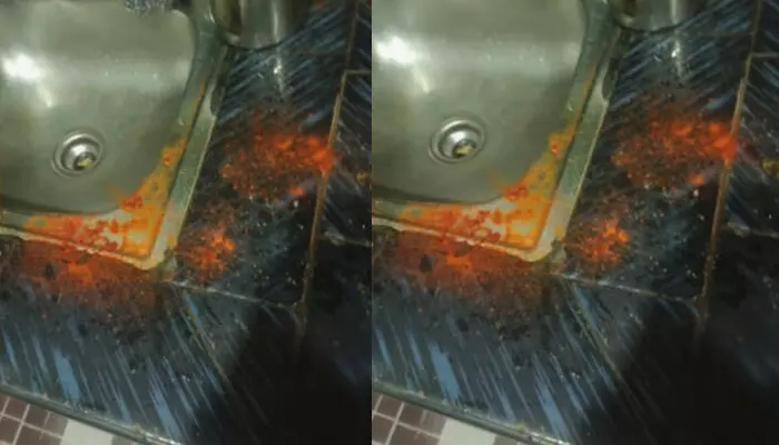 അടുക്കളയിൽ പാത്രം കഴുകുന്നതിനിടെ കരഞ്ഞ് നിലവിളിച്ച് ആ അമ്മയും മകളും; ബഹളം കേട്ട് നാട്ടുകാർ ഓടിയെത്തി; പേരാമ്പ്രയിൽ മുളകുപൊടി വാരിയെറിഞ്ഞ് മോഷണശ്രമം അടുക്കളയിൽ പാത്രം കഴുകുന്നതിനിടെ കരഞ്ഞ് നിലവിളിച്ച് ആ അമ്മയും മകളും; ബഹളം കേട്ട് നാട്ടുകാർ ഓടിയെത്തി; പേരാമ്പ്രയിൽ മുളകുപൊടി വാരിയെറിഞ്ഞ് മോഷണശ്രമം